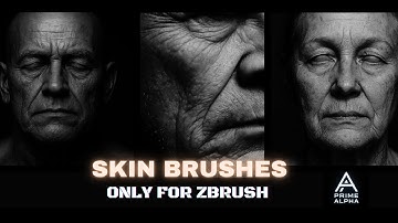 100 Skin Brushes For Zbrush ( Hyper Realistic )