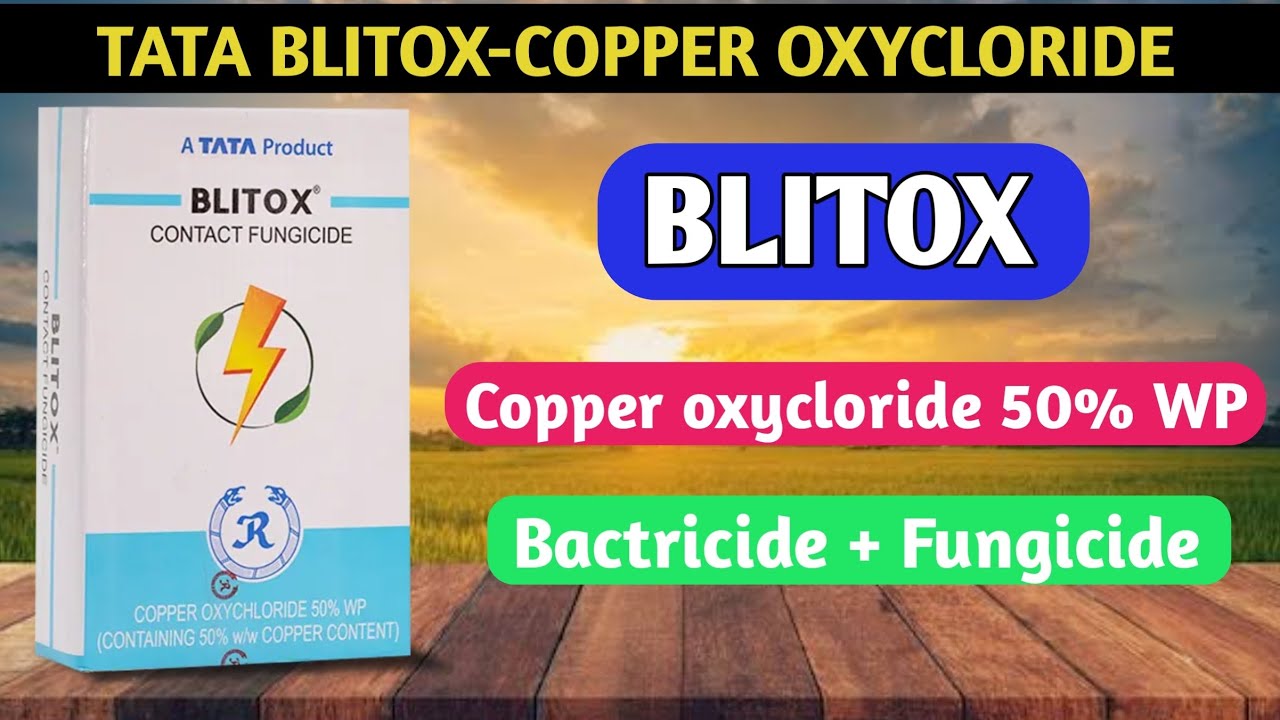 blitox fungicide uses tata blitox fungicide blue copper fungicide uses in hindi YouTube