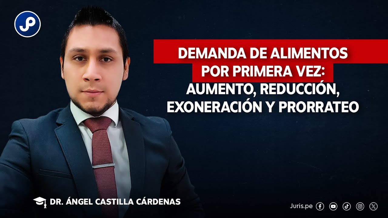 Demanda de alimentos por primera vez: aumento, reducción, exoneración y prorrateo