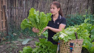 Go to the market to sell vegetables and cook. and live with nature. Trieu Lily