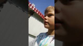 ШОК! ЭПИК ВЛОГ ЧУТЬ НЕ УБИЛИ СОБАКУ! ШОК! ЭПИК ВЛОГ ЧУТЬ НЕ УБИЛИ СОБАКУ!