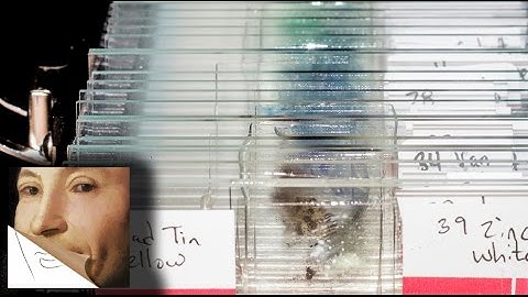 Microscopy  Slide mounts preparation