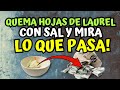 Quema hojas de laurel con sal y mira lo que pasa!