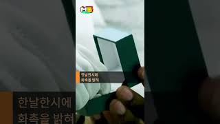 스케일 남다른 '800쌍 합동 결혼식' 풍경 [shorts]