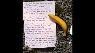 bananafish - Two Sheds Jackson
