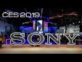 Sony at CES 2019 Master Series TVs