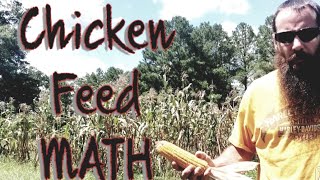 Growing Corn for Chicken Feed: Is It Worth Doing??? Can Chickens Eat Corn
