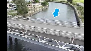 和田川 坂田橋付近監視カメラ のライブ映像