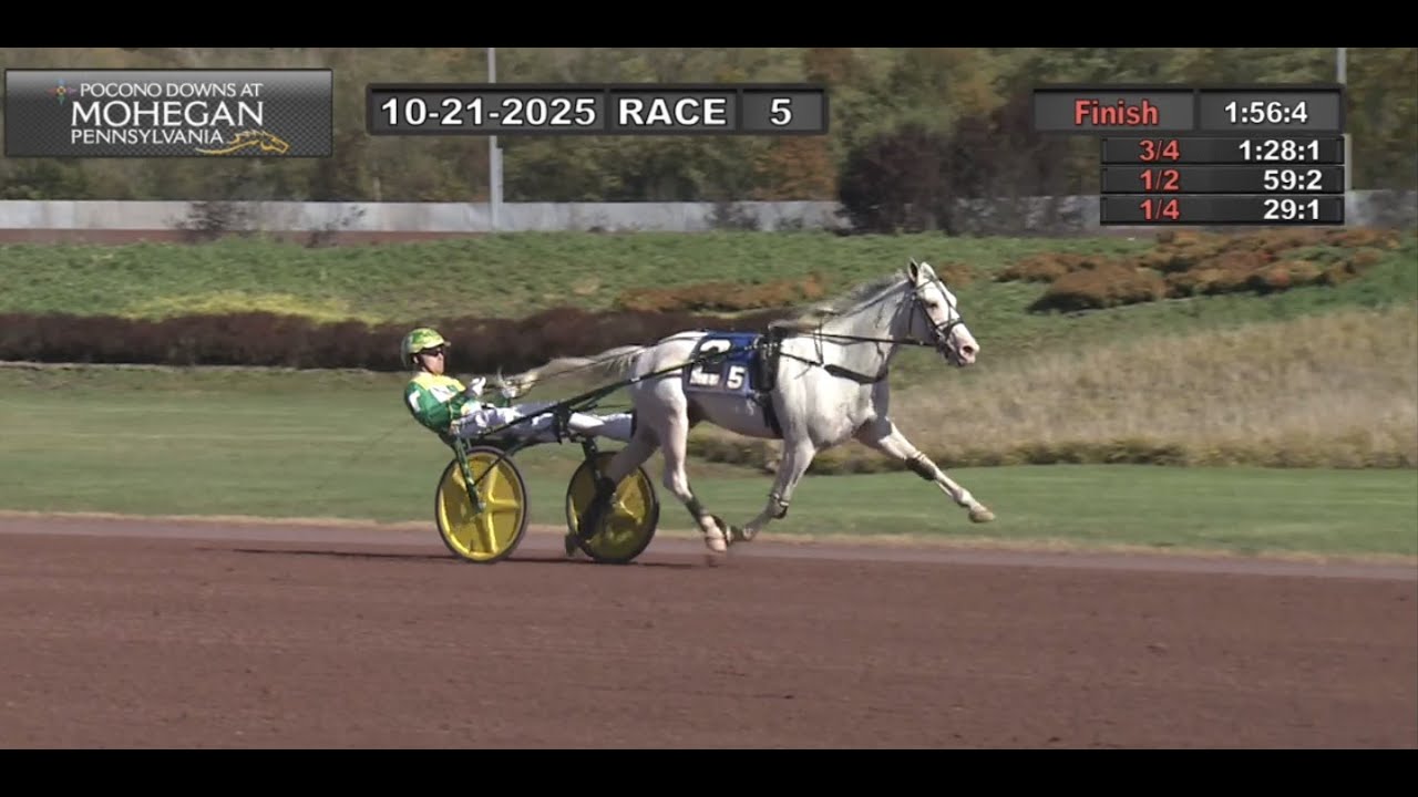 Tim Tetrick Nebbiolo & Tim Tetrick wins John Simpson Memorial 2YO C&G 2nd div. of 3 ...