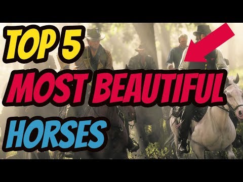 rdr-2-top-5-most-beautiful-horses!-my-top-5
