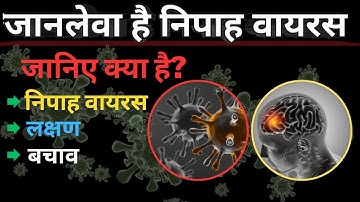 Nipah virus: कितना खतरनाक है निपाह वायरस | जानिए क्या है लक्षण |  Symptoms | Prevention