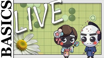 A Relaxing Day For Basics #baduk