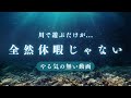 山で迷子になったらヤバい場所に辿り着いた