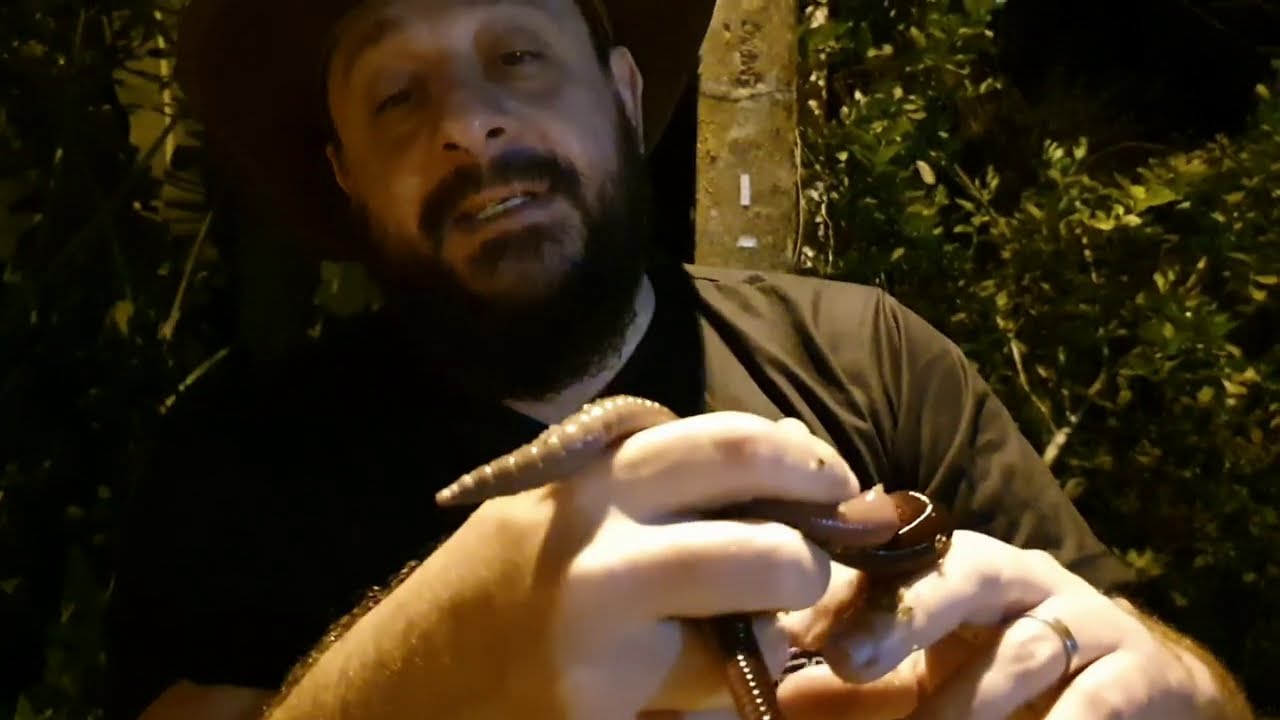 Que Cobra é essa? Minhocuçu gigante | Biólogo Henrique o Biólogo das Cobras