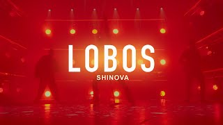 SHINOVA - LOBOS (videoclip oficial)