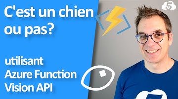 Le workshop: Not a dog - Cognitive Services & Azure Functions