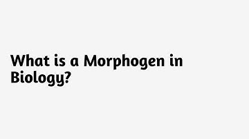 What is a Morphogen in Biology ?