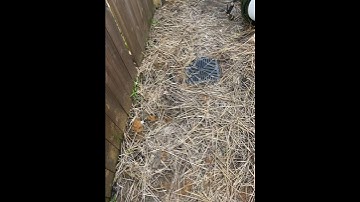 Installing French Drains , what you need to know