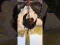 This bungee jump scare cam is hilarious 😂🤦              🎥: TikTok / highlandfling