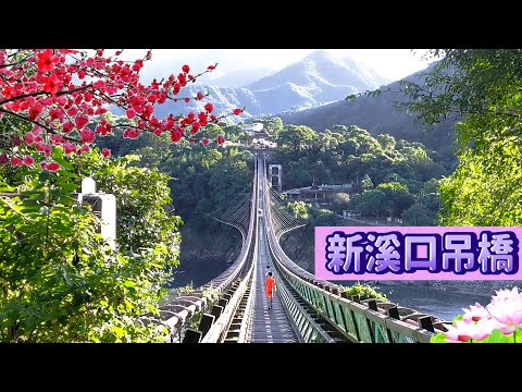 新溪口吊橋 步道可至 角板山公園 桃園市復興區景點 本次行程由新溪口廣場方向往角板山公園 (New Xikou Suspension Bridge,Taoyuan City Taiwan)