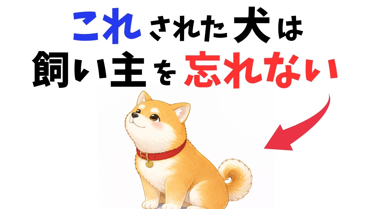 【一生忘れない】犬の記憶に残るために必要なこと 13選