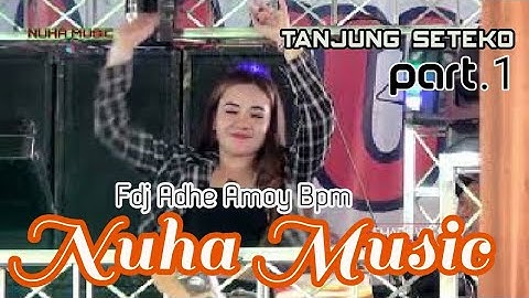 Fdj Adhe Amoy | NUHA MUSIC | Tanjung Seteko | Shapa WG Pro | Part.1