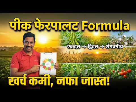 एकदल-द्विदल-शेंगवर्गीय पीक फेरपालट | Scientific Farming Planning Guide | Crop Rotation | AgroStar