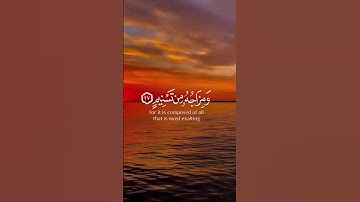 تلاوة عطرة من سورة المطففين بصوت القارئ ياسر الدوسري #quran #قرآن #تلاوة_خاشعة #اذكروا_الله_يذكركم
