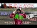 とちおとめ25農業体験 Vol.2〜芳賀町・とうもろこしの収穫編〜