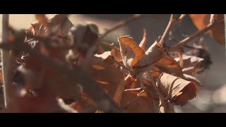 Why are Central Texas counties under burn bans right now?