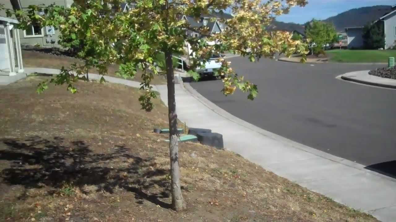 Roseburg Oregon Home for rent by Pioneer Management 433 Umpqua YouTube