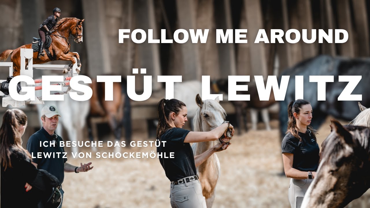 Gestüt Lewitz 🐴 wie ihr es noch nie gesehen habt