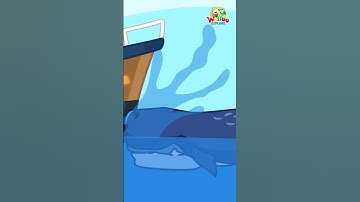 What if a whale swallowed us? Let your curious kid dive into the deep with @WolfooExplore #shorts