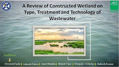 A Review on Constructed Wetland