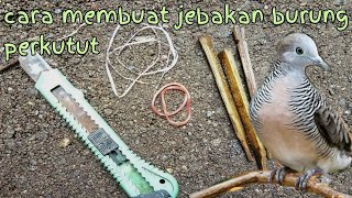 How to make a zebra dove trap