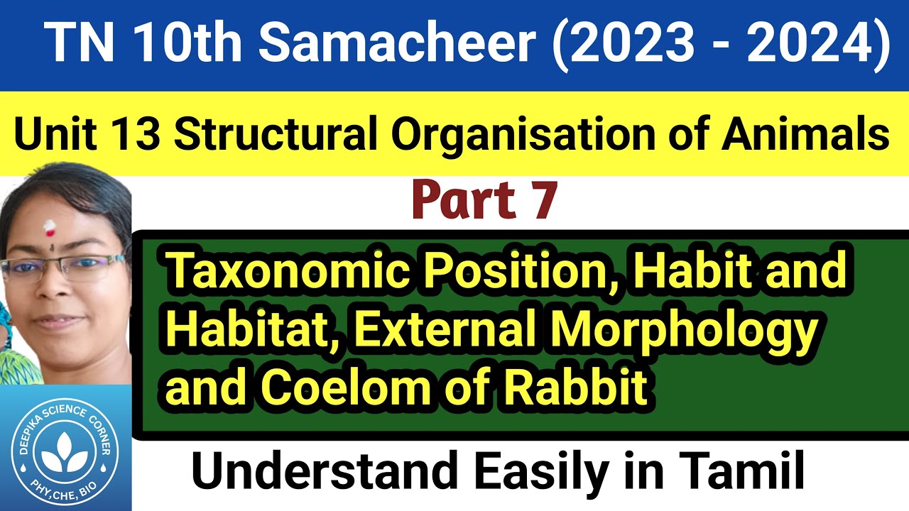 Taxonomic Position, Habit and Habitat, External Morphology and Coelom ...