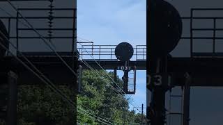 Amtrak Automatic Signal 1031 Bobbing at Halethorpe.