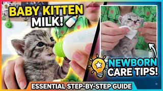 How to Care for a Newborn Kitten’s Without a Mother