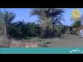 ود الحبشي ولاية نهر النيل YouTube ود الحبشي ولاية نهر النيل YouTube