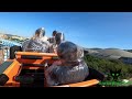 POLAR EXPLORER: Mack Rides Water Coaster at Chimelong Ocean Kingdom! 🇨🇳 thumbnail
