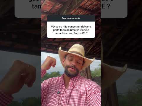 Não Consegui Deixar O Gado De Uma Só Idade E Tamanho Como Fazer A Suplem Com Proteico Energético 