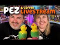 Pez and coffee livestream join us