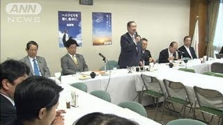 自民党が税と社会保障改革で新提案　年金制度維持（12/05/15）