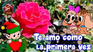 Te amo como la primera vez Frases Cartas de amor a la distancia screenshot 2