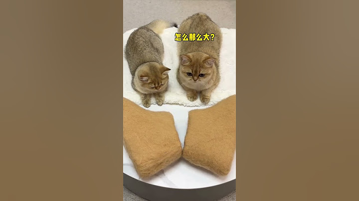 【牛奶是只猫】完了。。。做完这棉靴我家猫都秃了哈哈哈哈