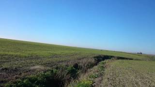 Liebre Cojida A Diente Entre Un Galgo Y Un Garabit