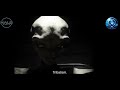 Alien Interview Part:3 SnM #strangerthings #alien #ufo