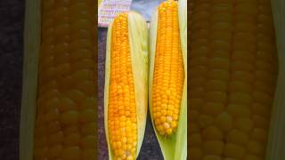 Mokajonna ade corn 🌽 ila tinote vuntundi abha #food #trending #shorts #ytshorts #foodie #corn #fun