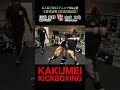 オープニングファイト第二試合 川端愛輝 VS 山本大地 Shorts 格闘技 アマチュアキックボクサー オープニングファイト第二試合 川端愛輝 VS 山本大地 Shorts 格闘技 アマチュアキックボクサー