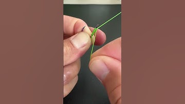 Cách Buộc Lưỡi Câu này chắc cần thủ nào cũng biết! Đơn giản mà nhanh gọn ,chắc chắn. #marisfishing